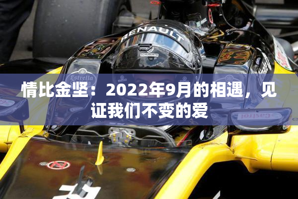 情比金坚：2022年9月的相遇，见证我们不变的爱
