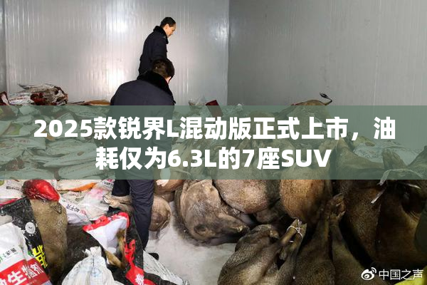 2025款锐界L混动版正式上市，油耗仅为6.3L的7座SUV