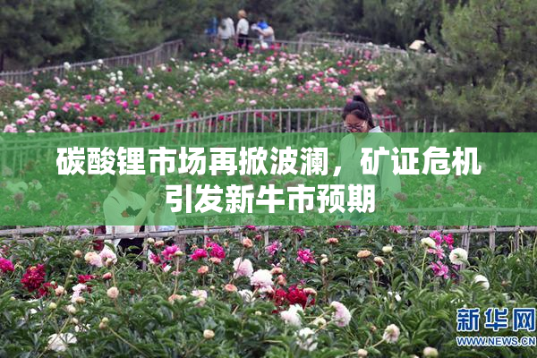 碳酸锂市场再掀波澜，矿证危机引发新牛市预期