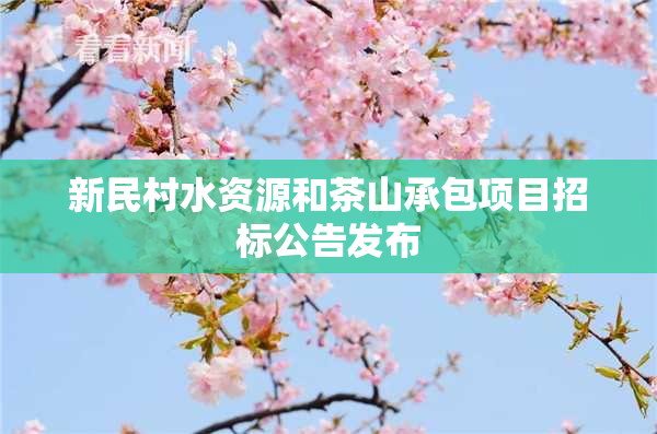 新民村水资源和茶山承包项目招标公告发布