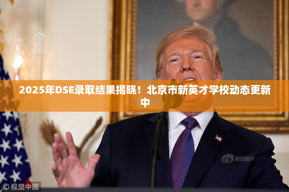 2025年DSE录取结果揭晓！北京市新英才学校动态更新中