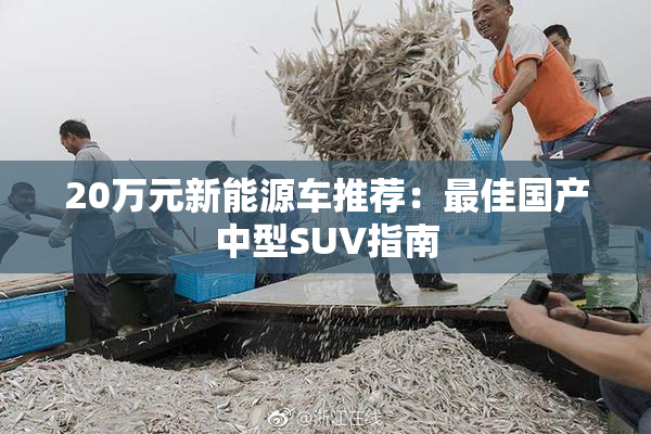 20万元新能源车推荐：最佳国产中型SUV指南