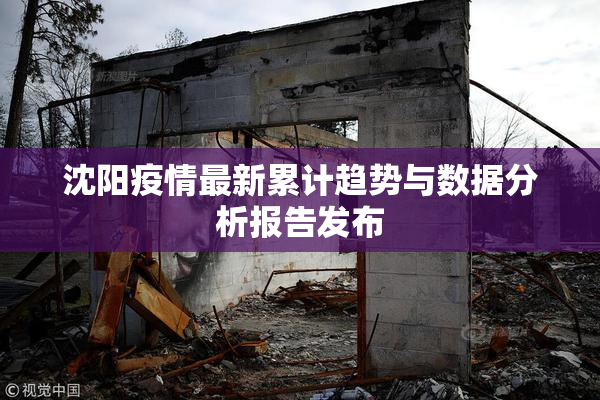 沈阳疫情最新累计趋势与数据分析报告发布