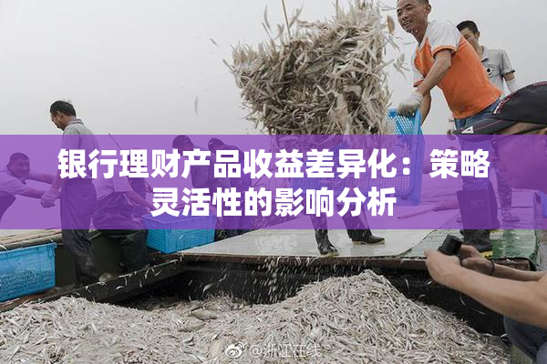 银行理财产品收益差异化：策略灵活性的影响分析