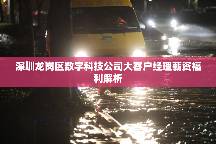 深圳龙岗区数字科技公司大客户经理薪资福利解析
