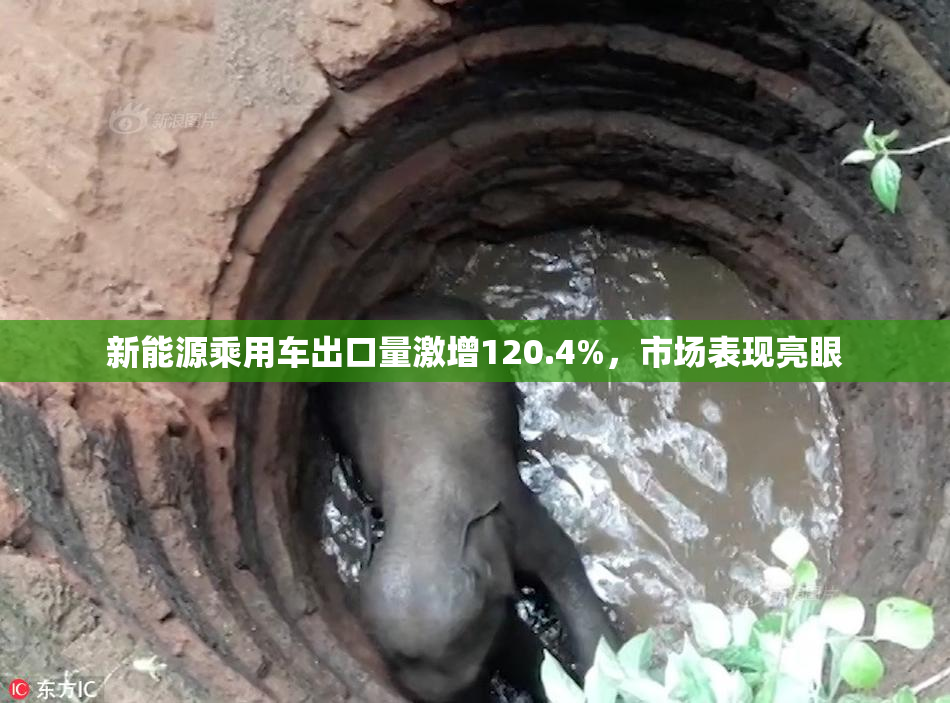 新能源乘用车出口量激增120.4%，市场表现亮眼