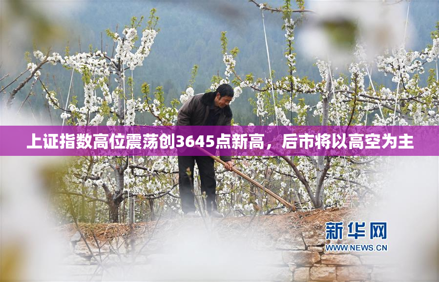 上证指数高位震荡创3645点新高，后市将以高空为主