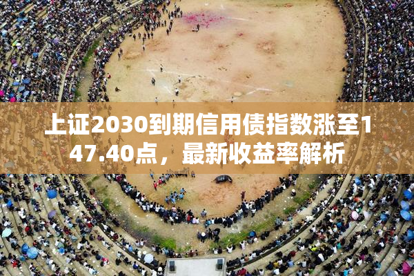 上证2030到期信用债指数涨至147.40点，最新收益率解析