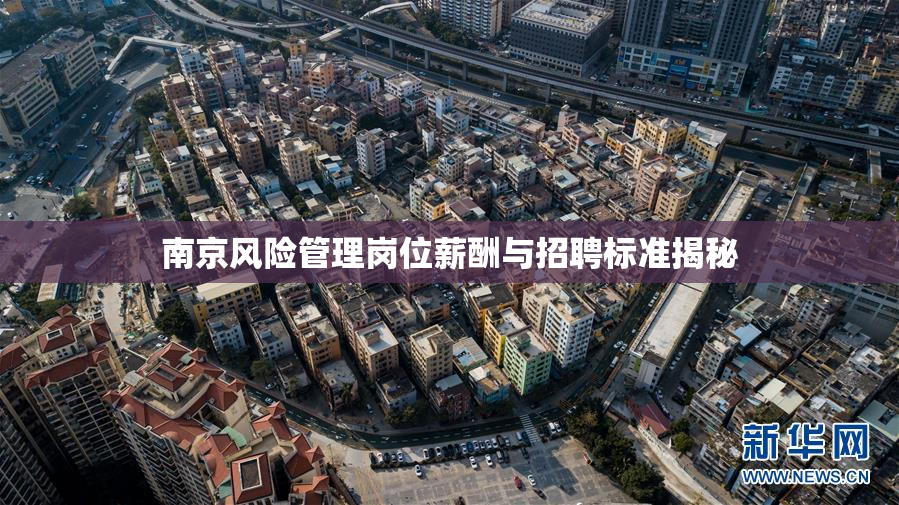 南京风险管理岗位薪酬与招聘标准揭秘