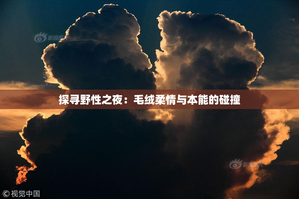 探寻野性之夜：毛绒柔情与本能的碰撞