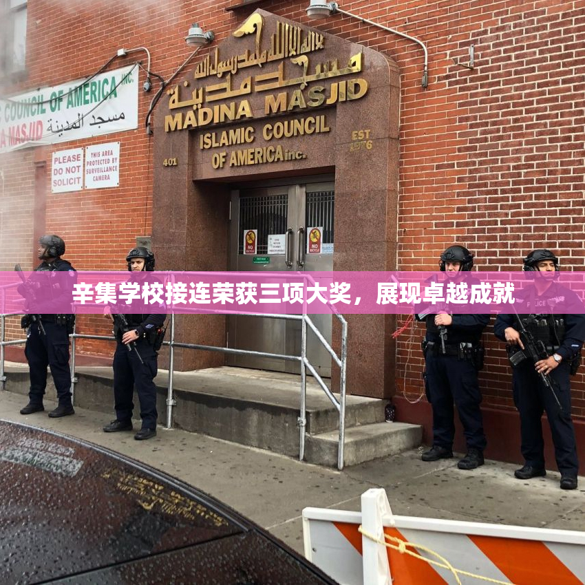 辛集学校接连荣获三项大奖，展现卓越成就