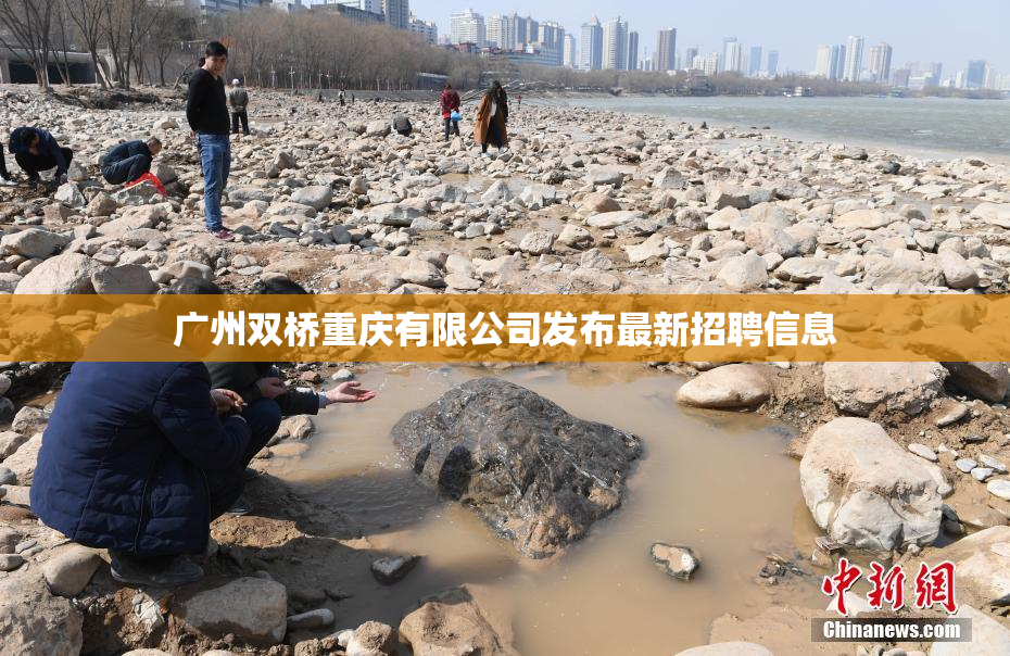 广州双桥重庆有限公司发布最新招聘信息