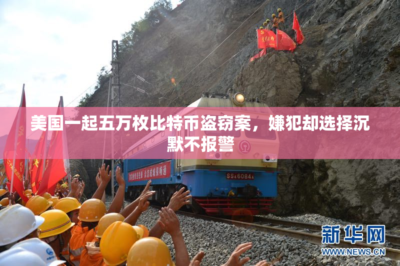 美国一起五万枚比特币盗窃案，嫌犯却选择沉默不报警