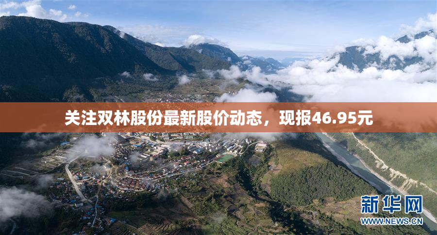 关注双林股份最新股价动态，现报46.95元