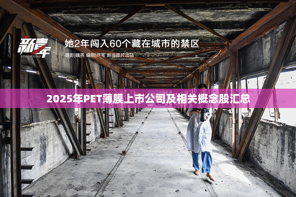 2025年PET薄膜上市公司及相关概念股汇总