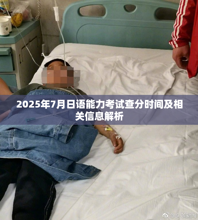 2025年7月日语能力考试查分时间及相关信息解析