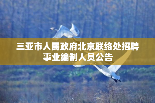 三亚市人民政府北京联络处招聘事业编制人员公告