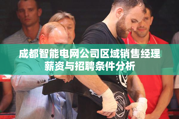 成都智能电网公司区域销售经理薪资与招聘条件分析