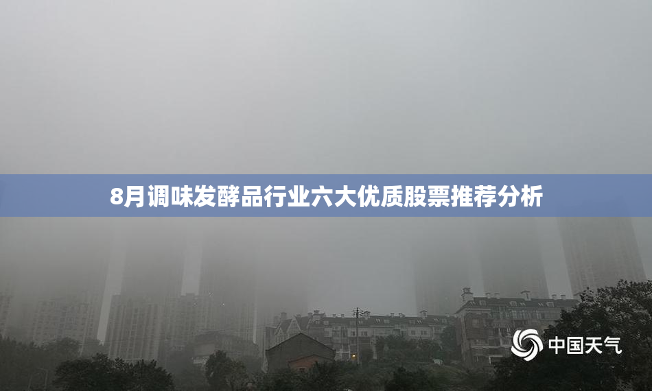 8月调味发酵品行业六大优质股票推荐分析