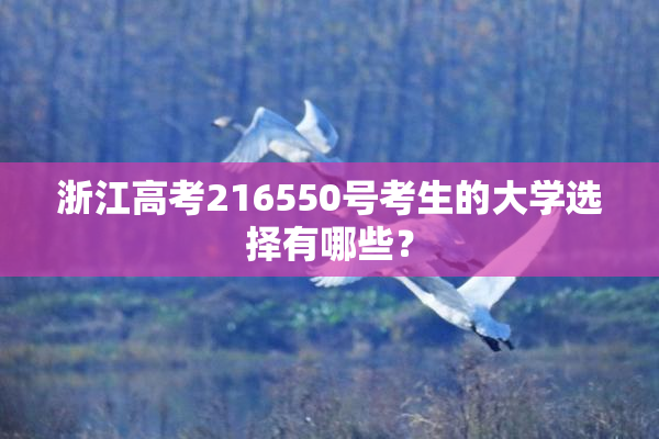 浙江高考216550号考生的大学选择有哪些？