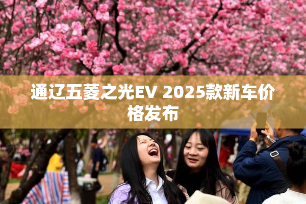通辽五菱之光EV 2025款新车价格发布