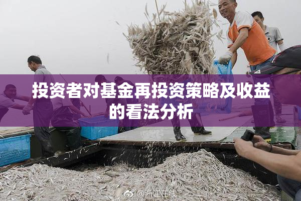 投资者对基金再投资策略及收益的看法分析