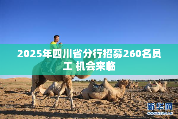2025年四川省分行招募260名员工 机会来临