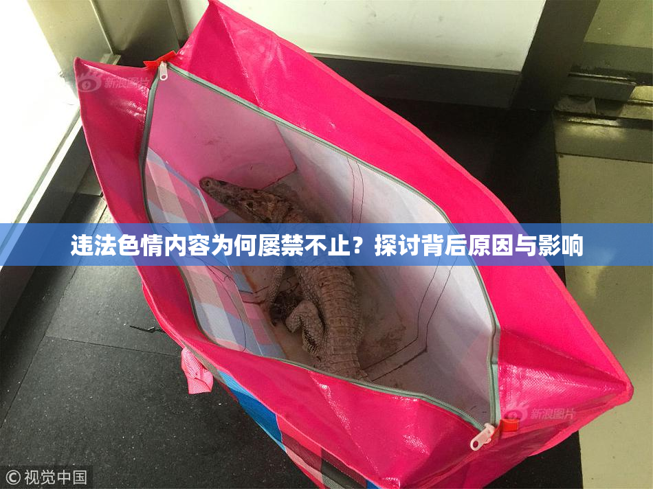 违法色情内容为何屡禁不止？探讨背后原因与影响