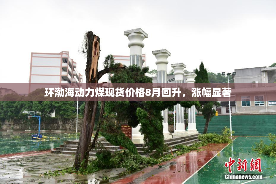 环渤海动力煤现货价格8月回升，涨幅显著