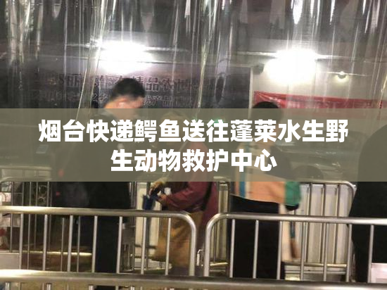 烟台快递鳄鱼送往蓬莱水生野生动物救护中心