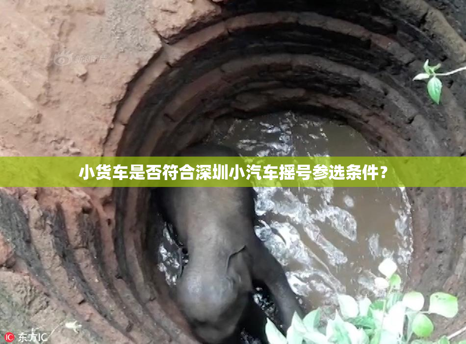 小货车是否符合深圳小汽车摇号参选条件？
