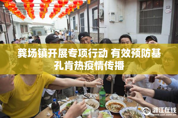 龚场镇开展专项行动 有效预防基孔肯热疫情传播