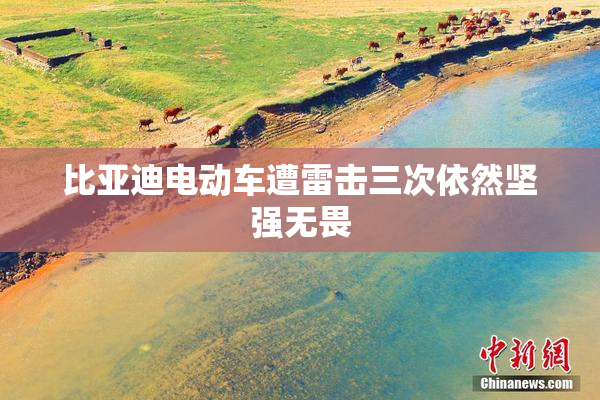 比亚迪电动车遭雷击三次依然坚强无畏