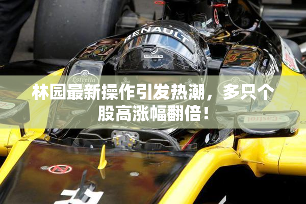 林园最新操作引发热潮，多只个股高涨幅翻倍！