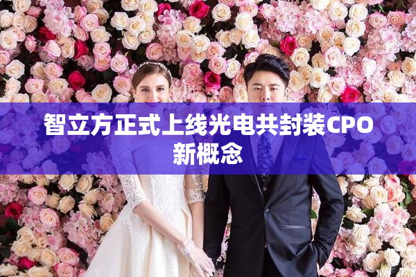 智立方正式上线光电共封装CPO新概念