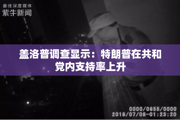 盖洛普调查显示：特朗普在共和党内支持率上升