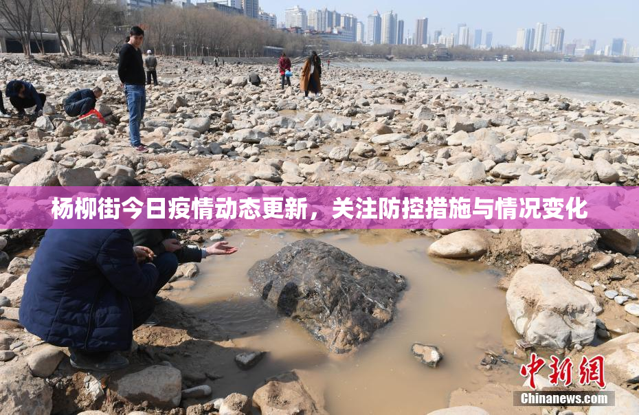 杨柳街今日疫情动态更新，关注防控措施与情况变化