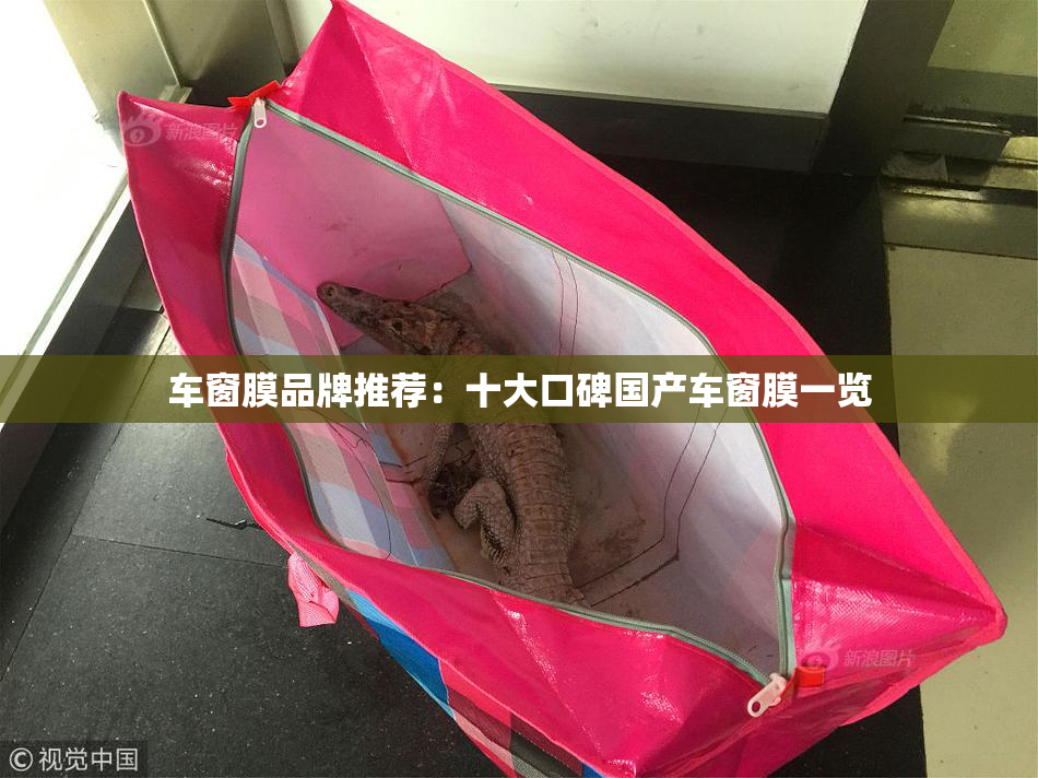 车窗膜品牌推荐：十大口碑国产车窗膜一览