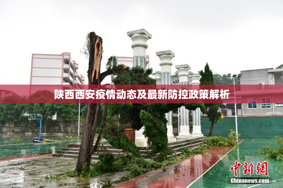 陕西西安疫情动态及最新防控政策解析