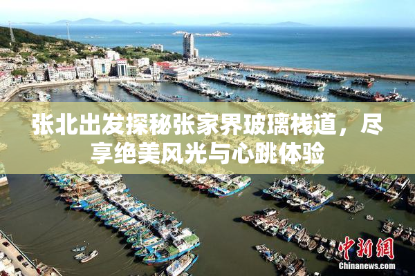 张北出发探秘张家界玻璃栈道，尽享绝美风光与心跳体验