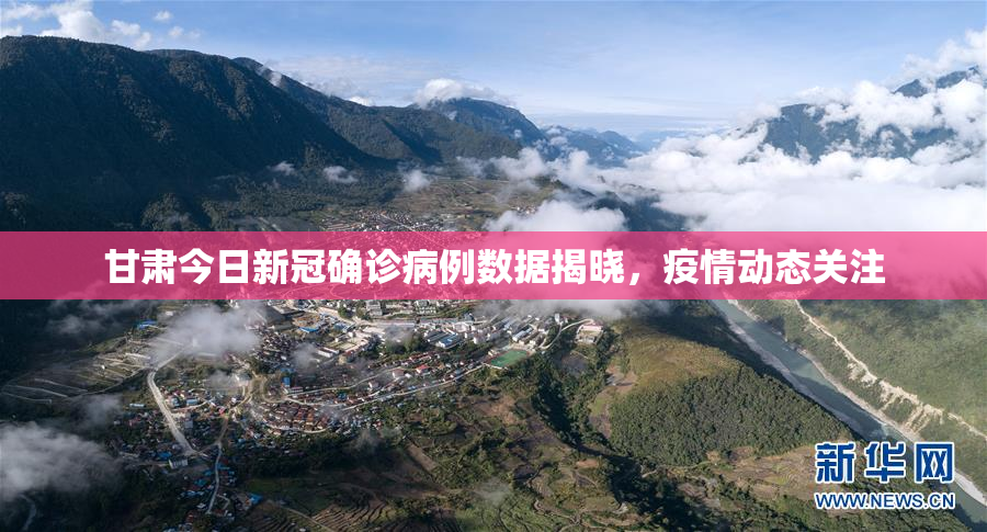 甘肃今日新冠确诊病例数据揭晓，疫情动态关注