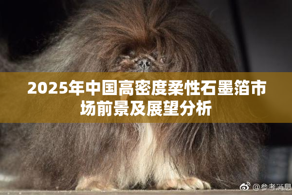 2025年中国高密度柔性石墨箔市场前景及展望分析