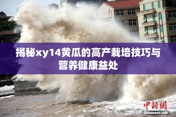 揭秘xy14黄瓜的高产栽培技巧与营养健康益处