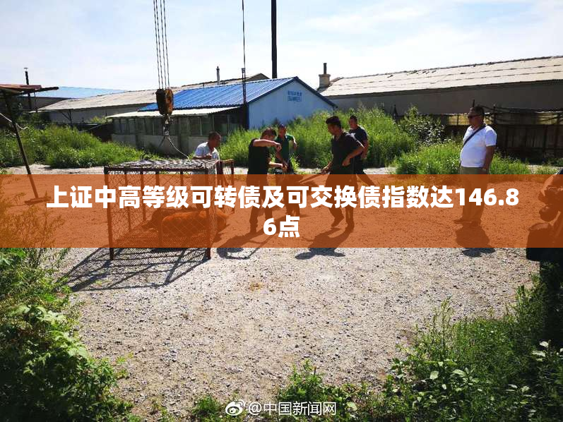 上证中高等级可转债及可交换债指数达146.86点