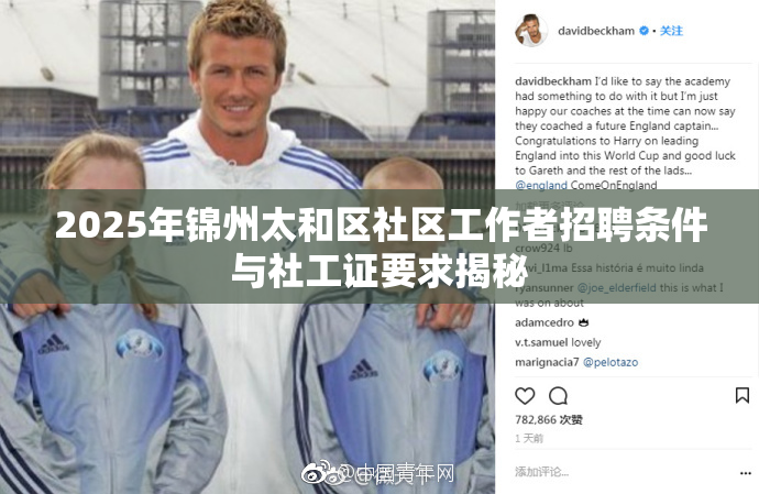 2025年锦州太和区社区工作者招聘条件与社工证要求揭秘