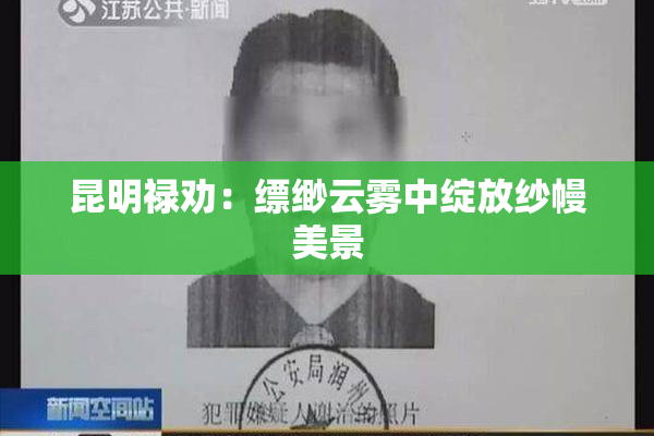 昆明禄劝：缥缈云雾中绽放纱幔美景