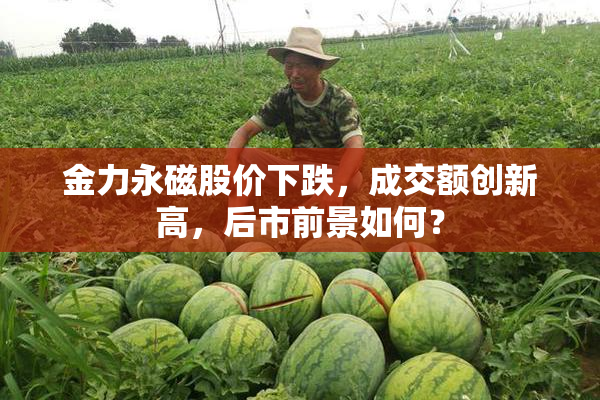 金力永磁股价下跌，成交额创新高，后市前景如何？