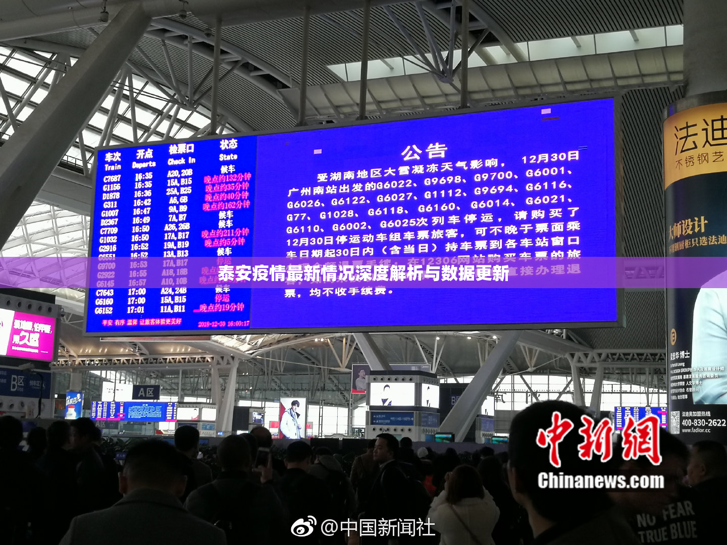 泰安疫情最新情况深度解析与数据更新