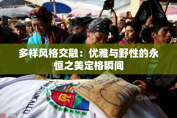 多样风格交融：优雅与野性的永恒之美定格瞬间