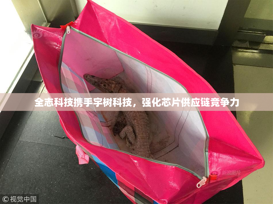 全志科技携手宇树科技，强化芯片供应链竞争力